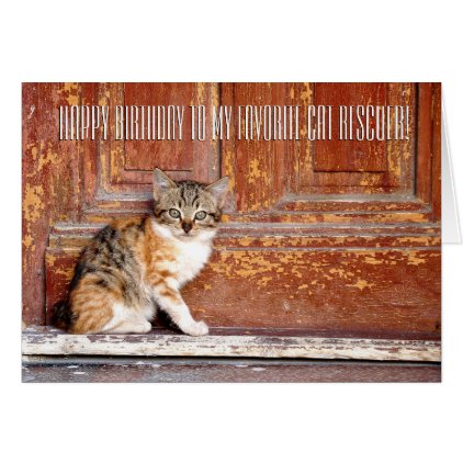 Thank You Cat Rescuer Greeting Card