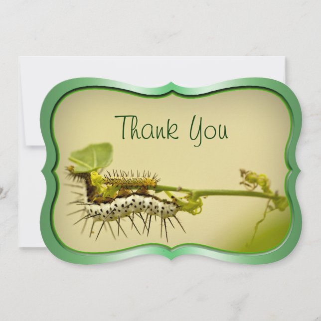 "Thank You" - Caterpillar Closeup Nature Photo . Thank You Card (Front)