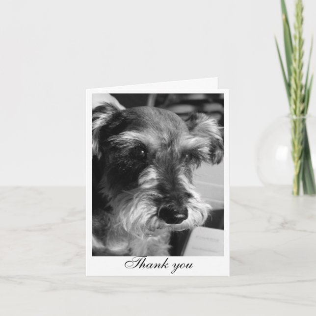 Thank you (Charmin) (Front)