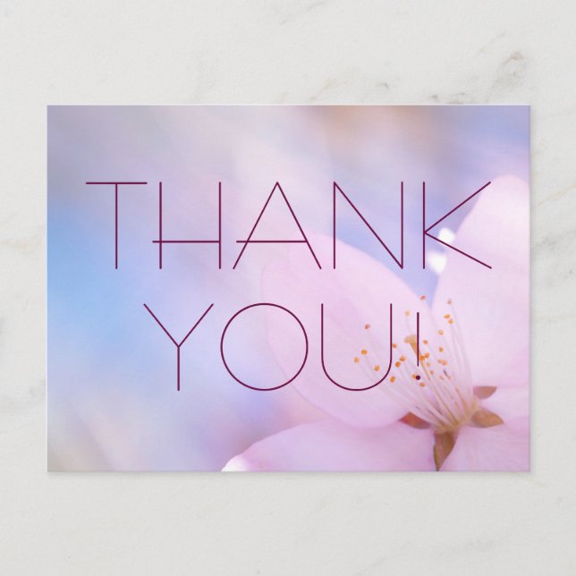 Thank you cherry customizable postcard (Front)