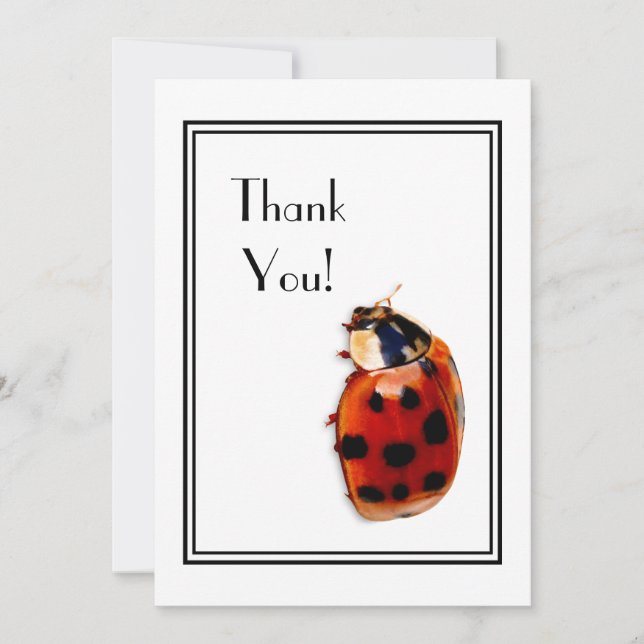 Thank You Chic Spotted Ladybug Invitation (Front)