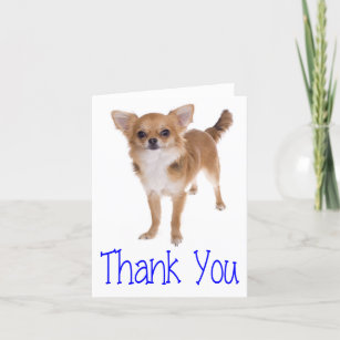 Thank You Chihuahua Puppy Dog Blank Notecard