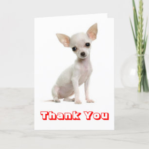 Thank You Chihuahua Puppy Dog Greeting Card
