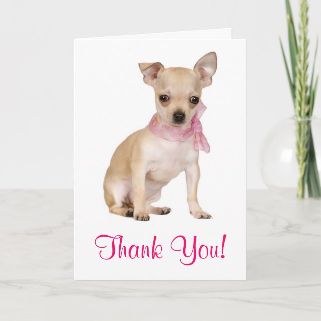Thank You  Chihuahua Puppy Dog Greeting Card (Front)