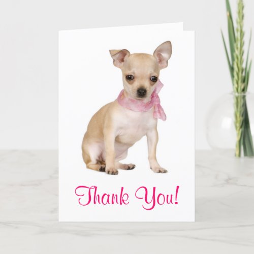 Thank You  Chihuahua Puppy Dog Greeting Card