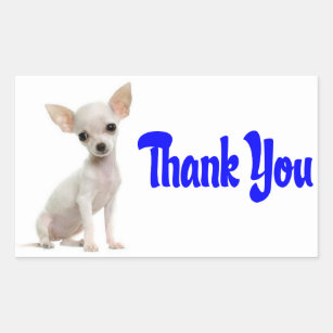Thank You Chihuahua Puppy Dog Greeting Stickers