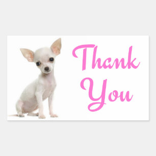 Thank You Chihuahua Puppy Dog Pink Stickers