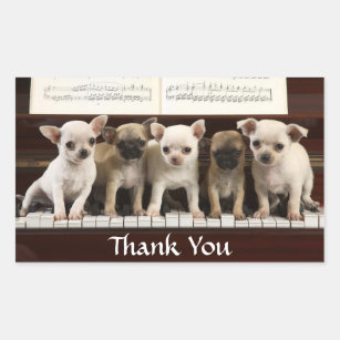 Thank You Chihuahua Puppy Dogs Greeting Sticker