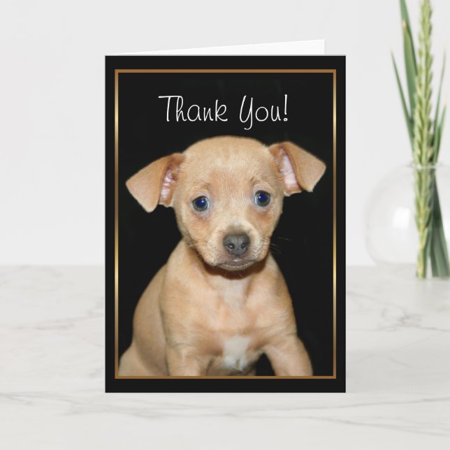 Thank You Chihuahua puppy greeting card (Front)