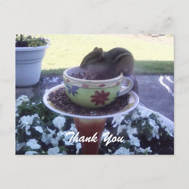 "Thank You" Chippy the Chipmunk Postcard (Front)