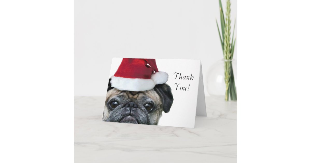 Thank You Christmas pug greeting card | Zazzle