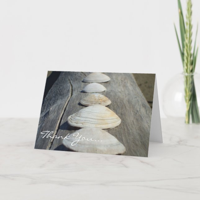 Thank You Clam Shells greeting card (Front)