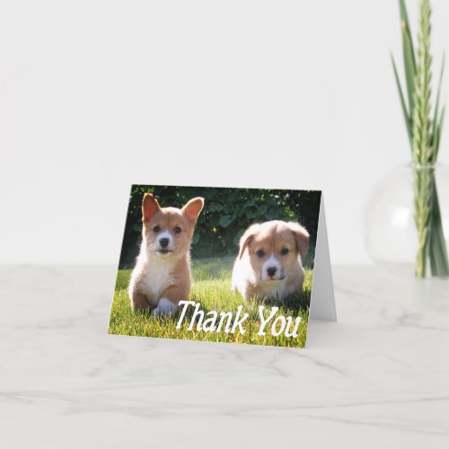 Thank You Corgie  Pembroke  Puppy Dog Note Card