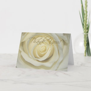 Thank you Cream Rose Cards