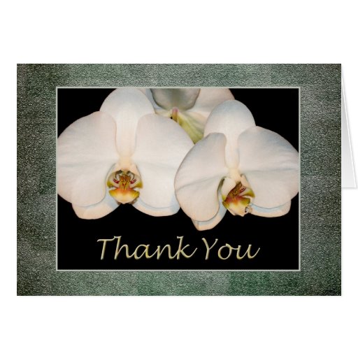 Thank You Customer and Employee Appreciation Card | Zazzle