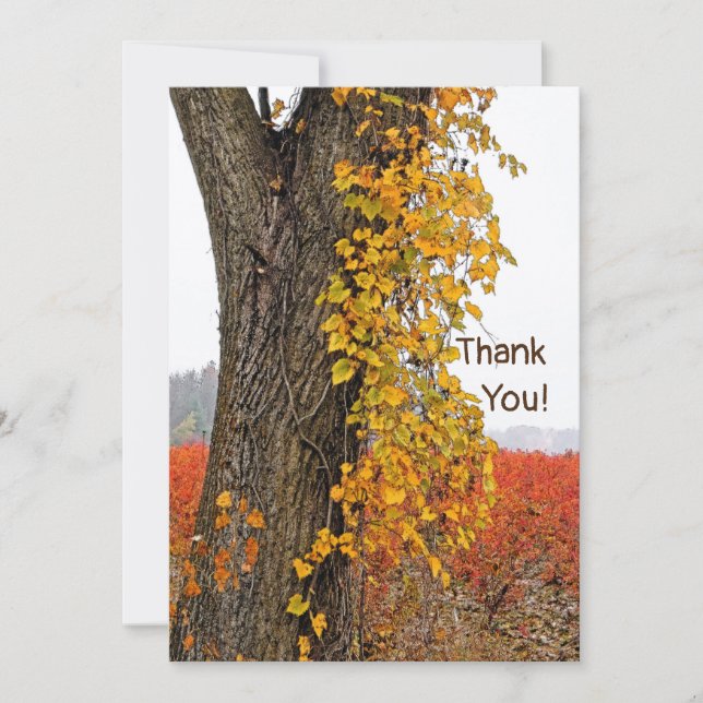 THANK YOU/CUSTOMIZABLE/TREE,VINE, BLUEBERRY FIELDS (Front)
