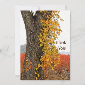 THANK YOU/CUSTOMIZABLE/TREE,VINE, BLUEBERRY FIELDS