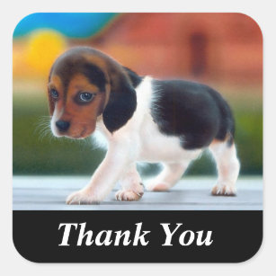 Cute Puppy Thank You Stickers | Zazzle