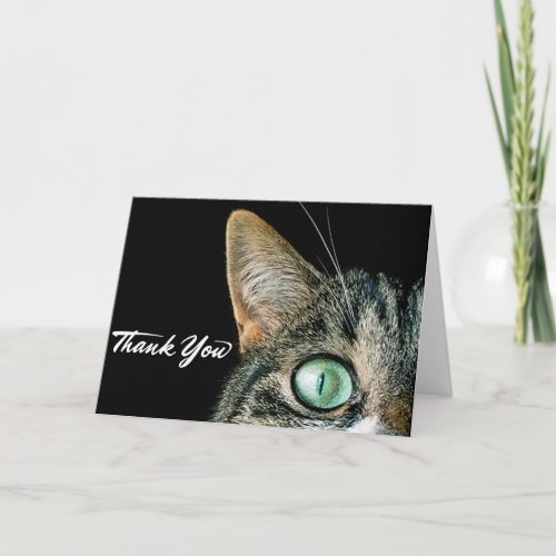 THANK YOU cute cat greetings card