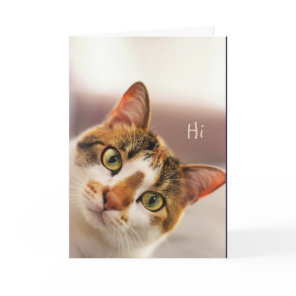 Thank you Cute Cat Kitten Animal  Card