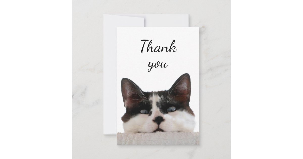Kittens Thank You Boxed Blank Note Cards With Envelopes, 20