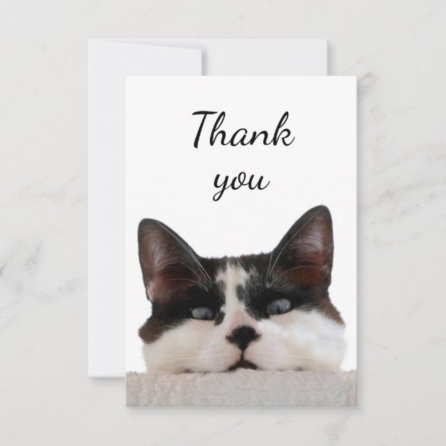 Thank You Cute Cat Kitten Peeking Out at You Card (Front)