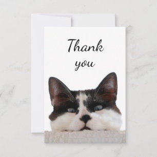 Thank You Cute Cat Kitten Peeking Out at You Card