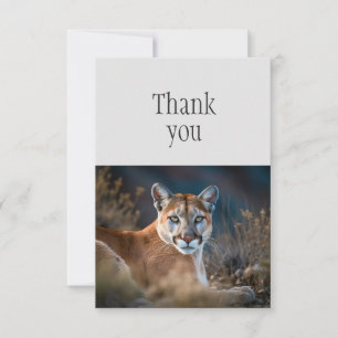 Thank You Cute Cougar Mountain Lion Wild Cat Card
