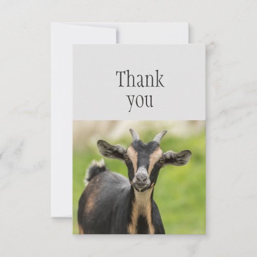 Thank You Cute Farm Animal Goat 