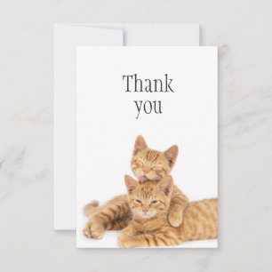 Thank You Cute Orange Tabby Cat Kittens Card