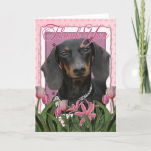 Thank You - Dachshund