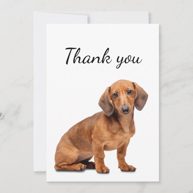 Thank You Dachshund Dog Pet Animal  Card (Front)
