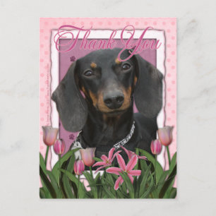 Thank You - Dachshund - Winston Postcard