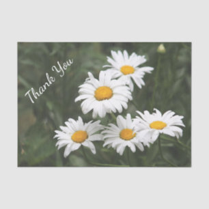 Thank You Daisy Tissue Paper