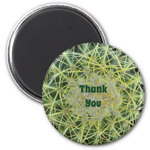 Thank You Desert Cactus Photo Nature Appreciation Magnet