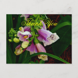 Thank You Digitalis Purpurea Flowers Postcard