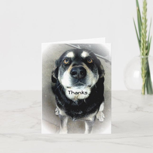 Thank You Dog Card (Front)