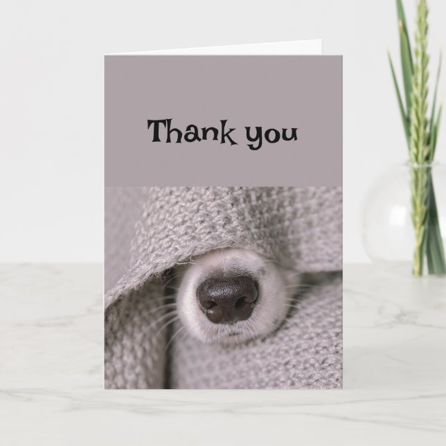 Thank you Dog Funny Dog Nose Card (Front)