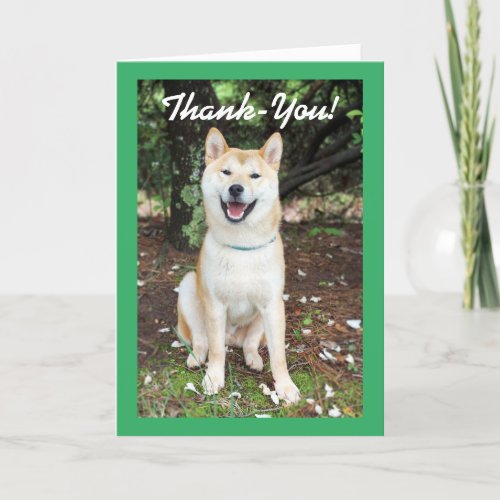 Thank_You Dog Thank You Card