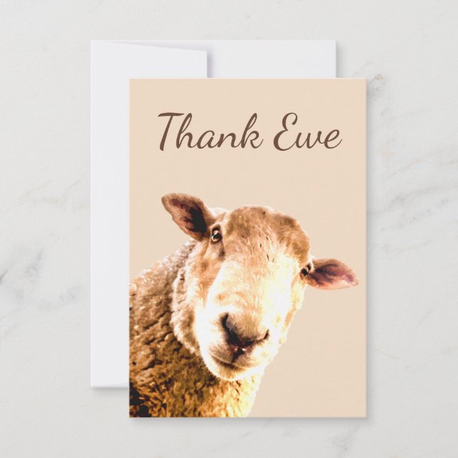 Thank You Ewe Sheep Animal Humor Card (Front)