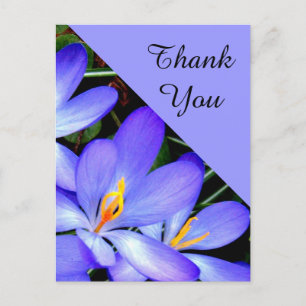 Thank You , Flowers Postcard