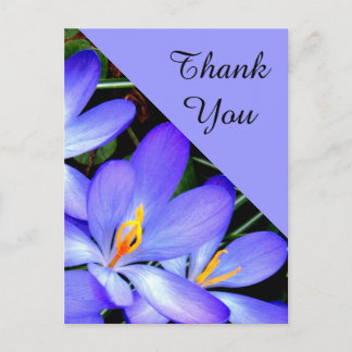 Thank You , Flowers Postcard