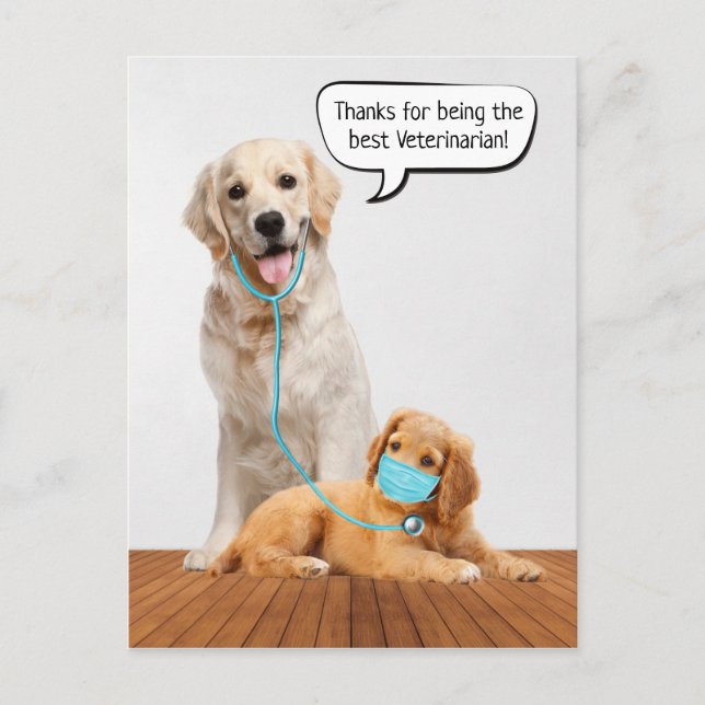 Thank You For a Veterinarian   Postcard (Front)