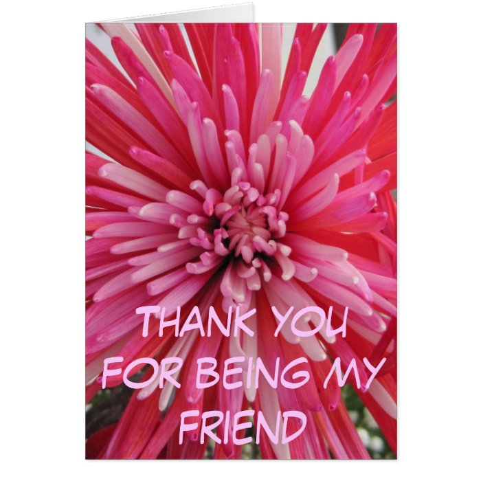 Thank you for being my friend card
