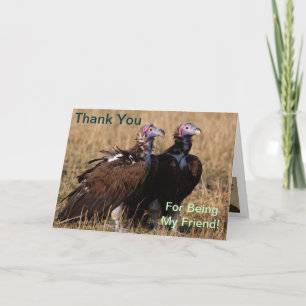 Thank You for Being My Friend, Vulture Card