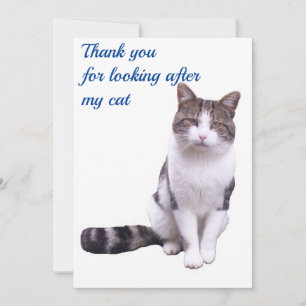 Thank you for looking after my cat card