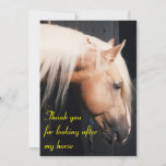 Thank You For Looking After My Horse Card at Zazzle