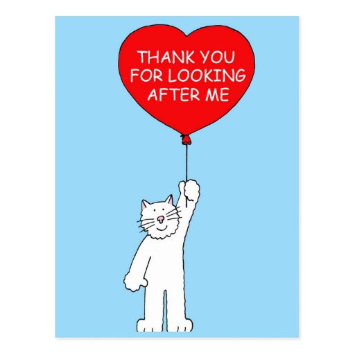 Thank you for looking after the cat. postcard | Zazzle