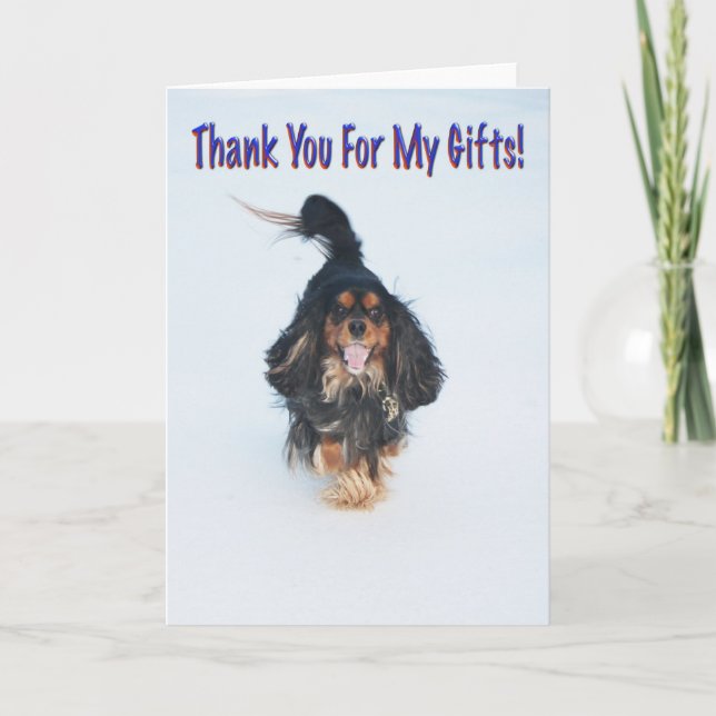 Thank You For My Gifts Dog Greeting Card (Front)