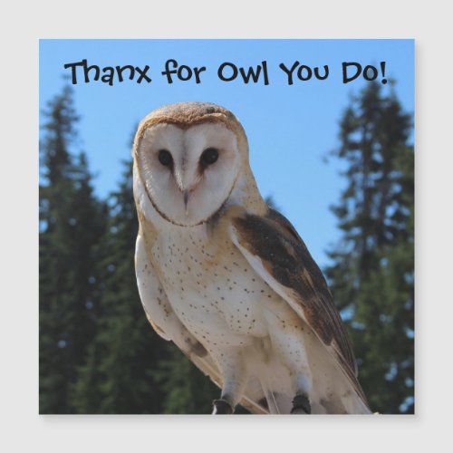 Thank You for Owl You Do _ Barn Owl Photo Magnetic
